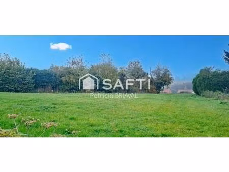 terrain constructible