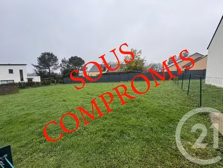 terrain à vendre - 429 m2 - treillieres - 44 - pays-de-loire