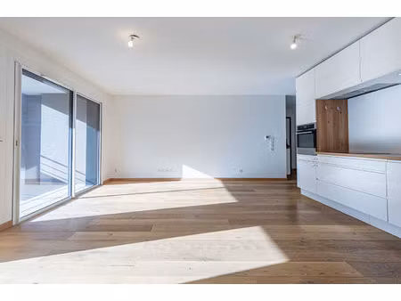 appartement t3 annecy à vendre