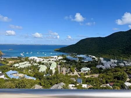 appartement 2 chambres à vendre sur les hauteurs d'anse marcel avec magnifique vue mer  sa