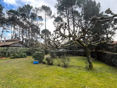 maison lège cap ferret route de l'océan