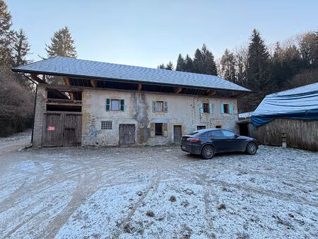 ancien moulin à rénover ? un havre de paix au coeur de la nature à thusy