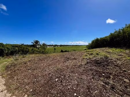 terrain constructible à vendre