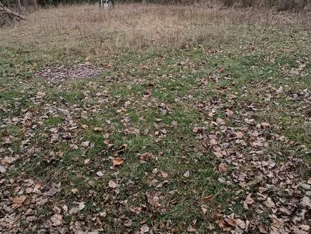 pâture à louer sur oblinghem