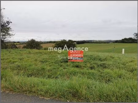 tony grego consultant megagence