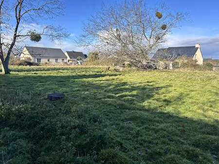 vente terrain à saint-dolay (56130) : à vendre / 3000m² saint-dolay