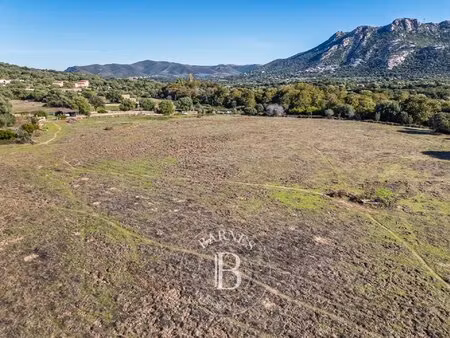 occhiatana  terrain à bâtir avec permis purgé pour villa d'achitecte en pierre avec piscin