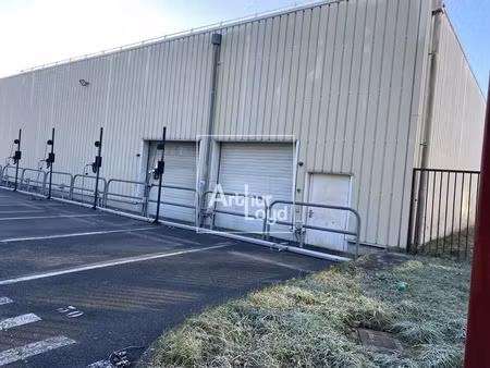 local d'activite - entrepôt a louer