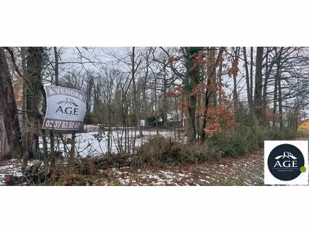 terrain raizeux secteur les chaises 700 m2