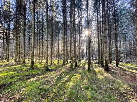 grond te koop in brûly-de-pesche