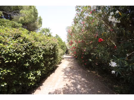 nouveau  idéal pour chevaux  parc 1 1 ha  superbe mas plein pied  de 250 m2   piscine 12/6