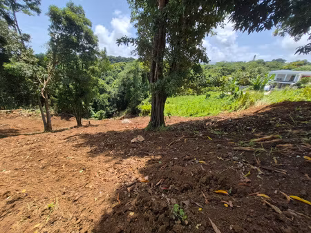 à petit-bourg  terrain de 1000m² à vendre 135000 €