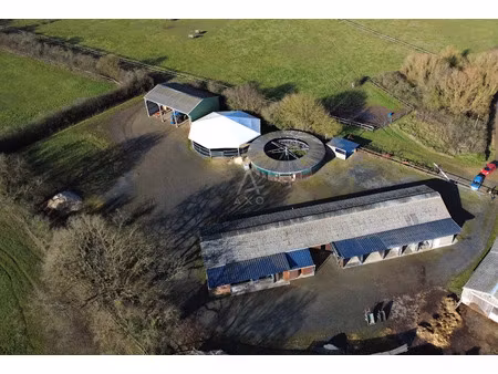 vente terrain 44482 m² à précigné (72300)  275 000 €