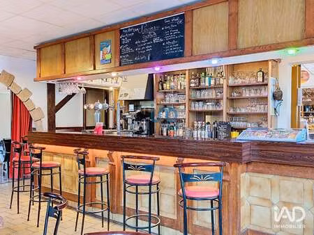vente bureaux et commerces à saint-martin-sur-ocre (45500) : à vendre / 360m² saint-martin