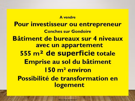 achat immeuble 555m² lagny sur marne 77400