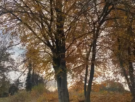 grond te koop in herent
