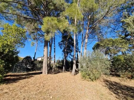 terrain de 953 m2 en vente - castelnau-le-lez  occitanie