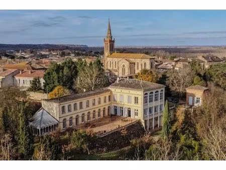 prestigieux château de 1150 m2 en vente - verdun-sur-garonne  occitanie