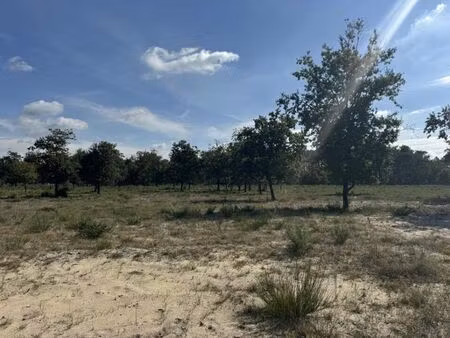 vente terrain 2213 m² vendays-montalivet (33930)