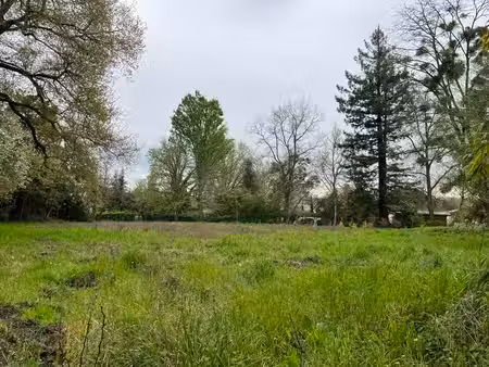vente terrain 3373 m² eauze (32800)