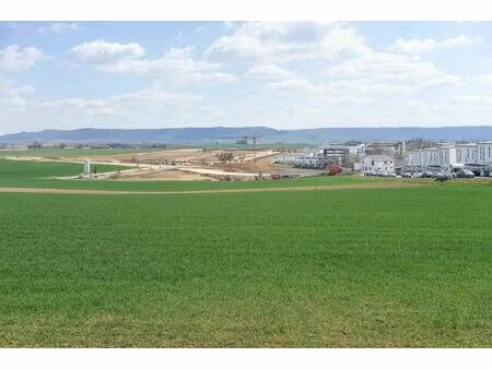 terrain à vendre de 10000 m² à hoeselt (vbd70023)