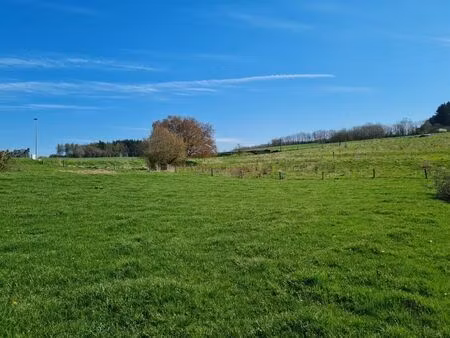 terrain à bâtir à vendre à mierchamps d 299g la roche-en-ardenne (vwd16177)