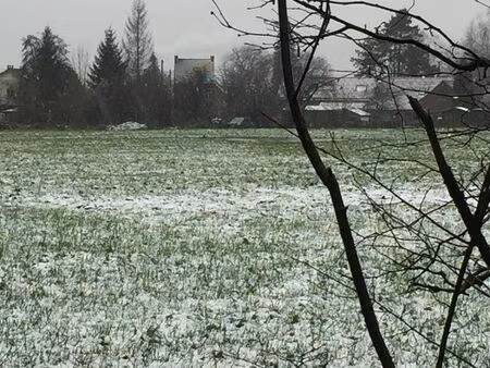 terrain à lotir à vendre de 22000 m² à obourg (vbd70015)