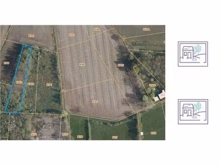 terrain agricole à vendre à tessenderloseweg veerle (rbu98451)