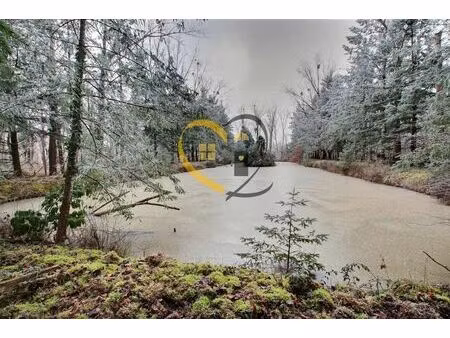 vente commerce 10477 m² romorantin-lanthenay (41200)