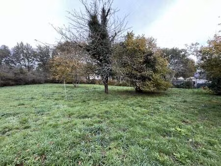 vente terrain à treillières (44119) : à vendre / 1460m² treillières