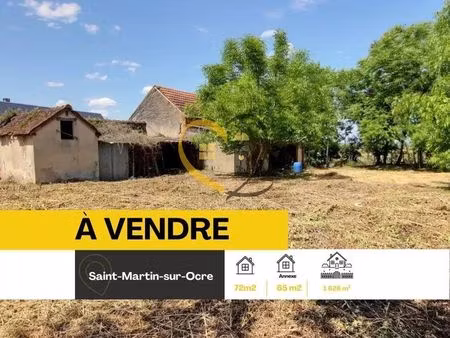 vente maison 1628 m² saint-martin-sur-ocre (45500)