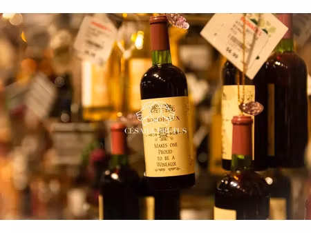 fonds de commerce lyon 05 - 40 m2