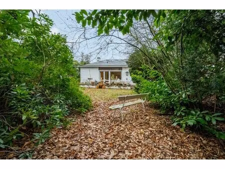 immeuble de rapport à vendre à 't leenhof 10 assebroek (rbu98256)