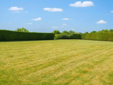 achat : terrain (87130)