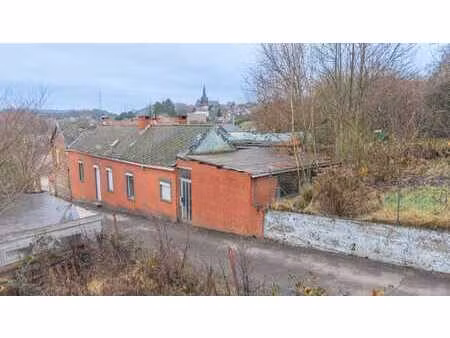 a renover - maison + jardin - enorme potentiel !!!