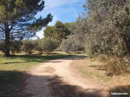 terrain 601 m² saint chamas