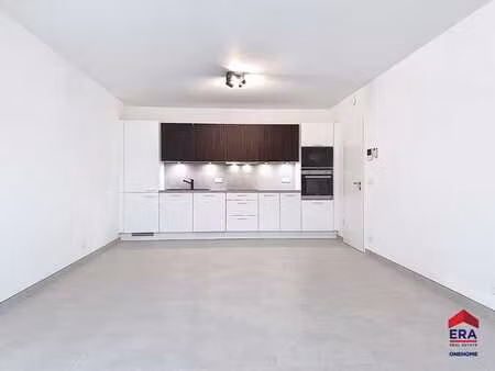 appartement 1 chambre avec terrasse