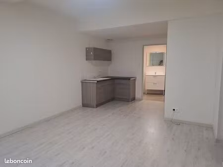 studio de 30m2 avec petite chambre séparée à louer à st lager