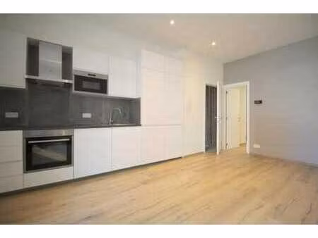 lumineux rez-de-chaussée une chambre avec cour/terrasse.