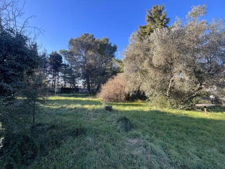 villas la provençale - agence d avignon