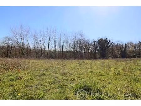 william soubaigné bsk immobilier