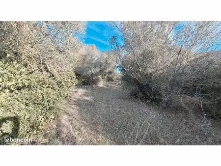 location terrain pour chevaux ou loisirs