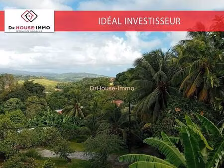 valérie martin dr house immo