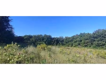 terrain constructible à vendre