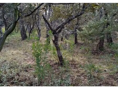 terrain constructible à vendre