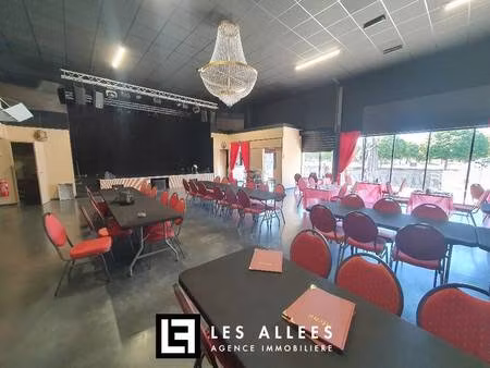 immobilière les allées