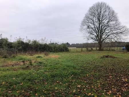 terrain constructible viabilisé à vendre