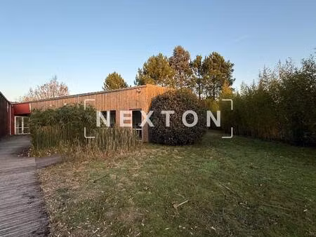 nexton immobilier