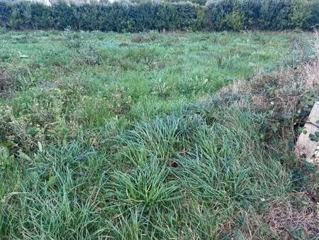 terrain constructible viabilisé à vendre