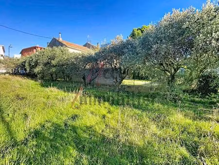 terrain constructible à vendre